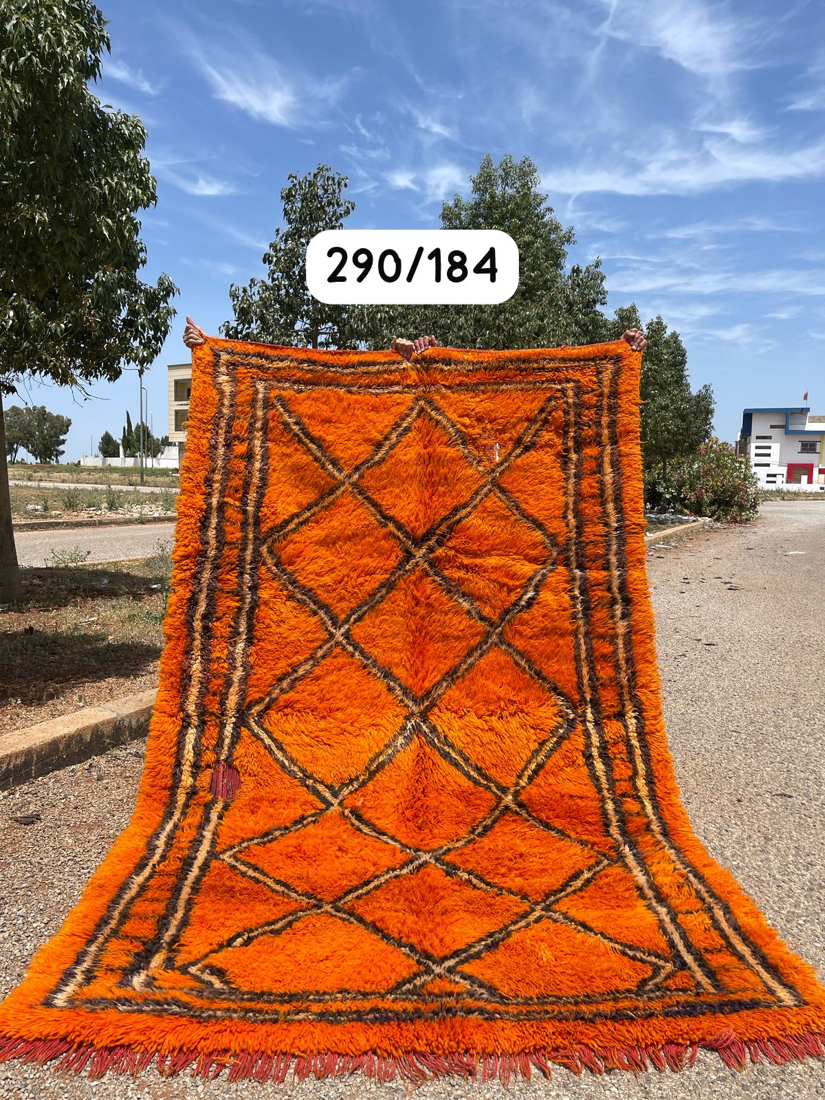 Transform your space with the exquisite charm of our Fabulous Boujad Rug, a true work of art crafted by skilled artisans in the heart of Morocco. This authentic Moroccan rug showcases the rich heritage and vibrant culture of the Boujad region